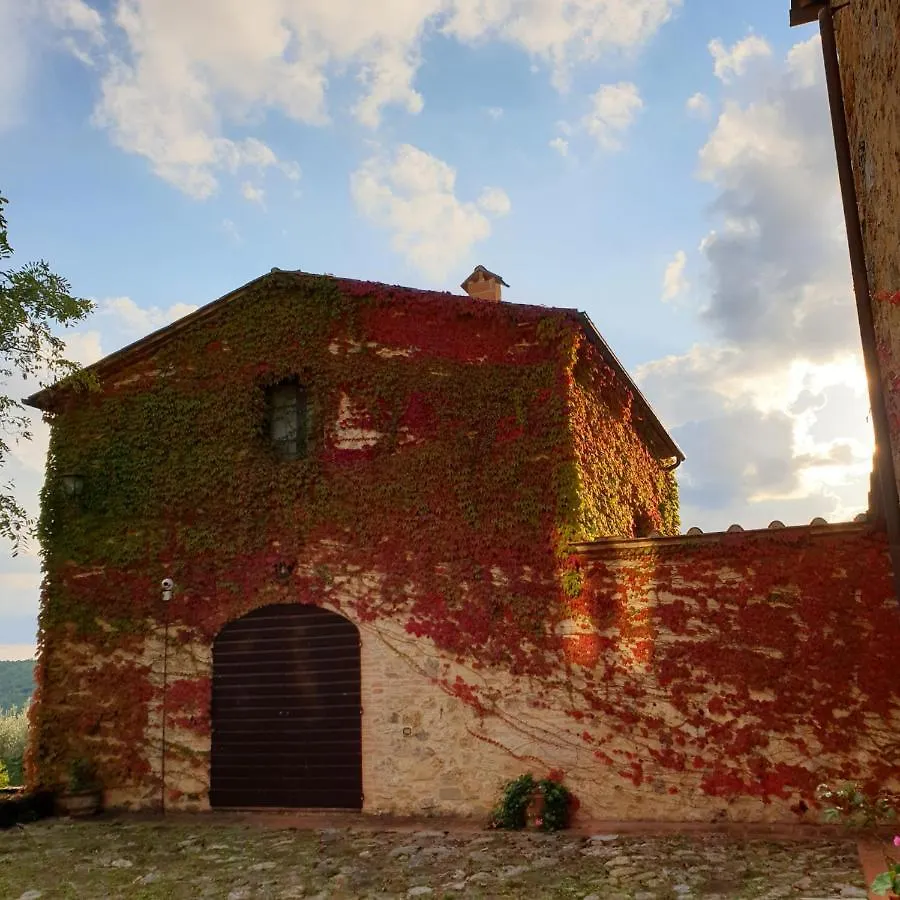 Vakantieboerderij Fattoria Lornano Winery Villa Monteriggioni Italië