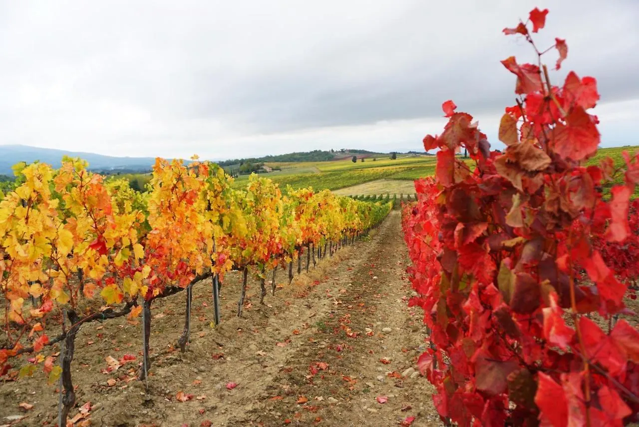 Fattoria Lornano Winery Villa Monteriggioni Vakantieboerderij
