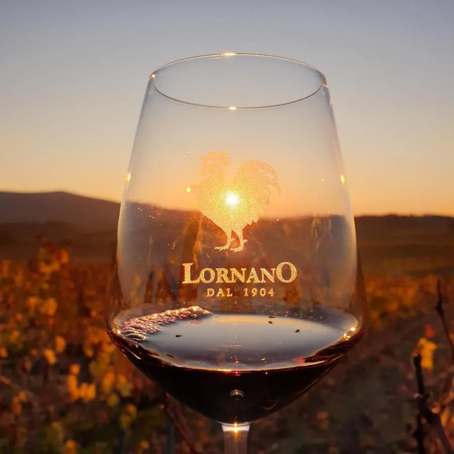 Vakantieboerderij Fattoria Lornano Winery Villa Monteriggioni
