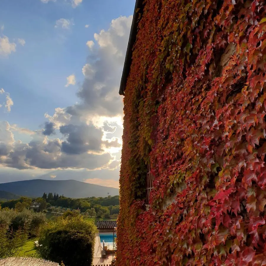 Fattoria Lornano Winery Villa Monteriggioni Italië
