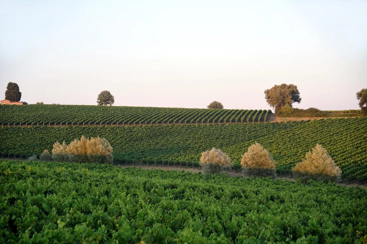 Fattoria Lornano Winery Villa Monteriggioni 0*,