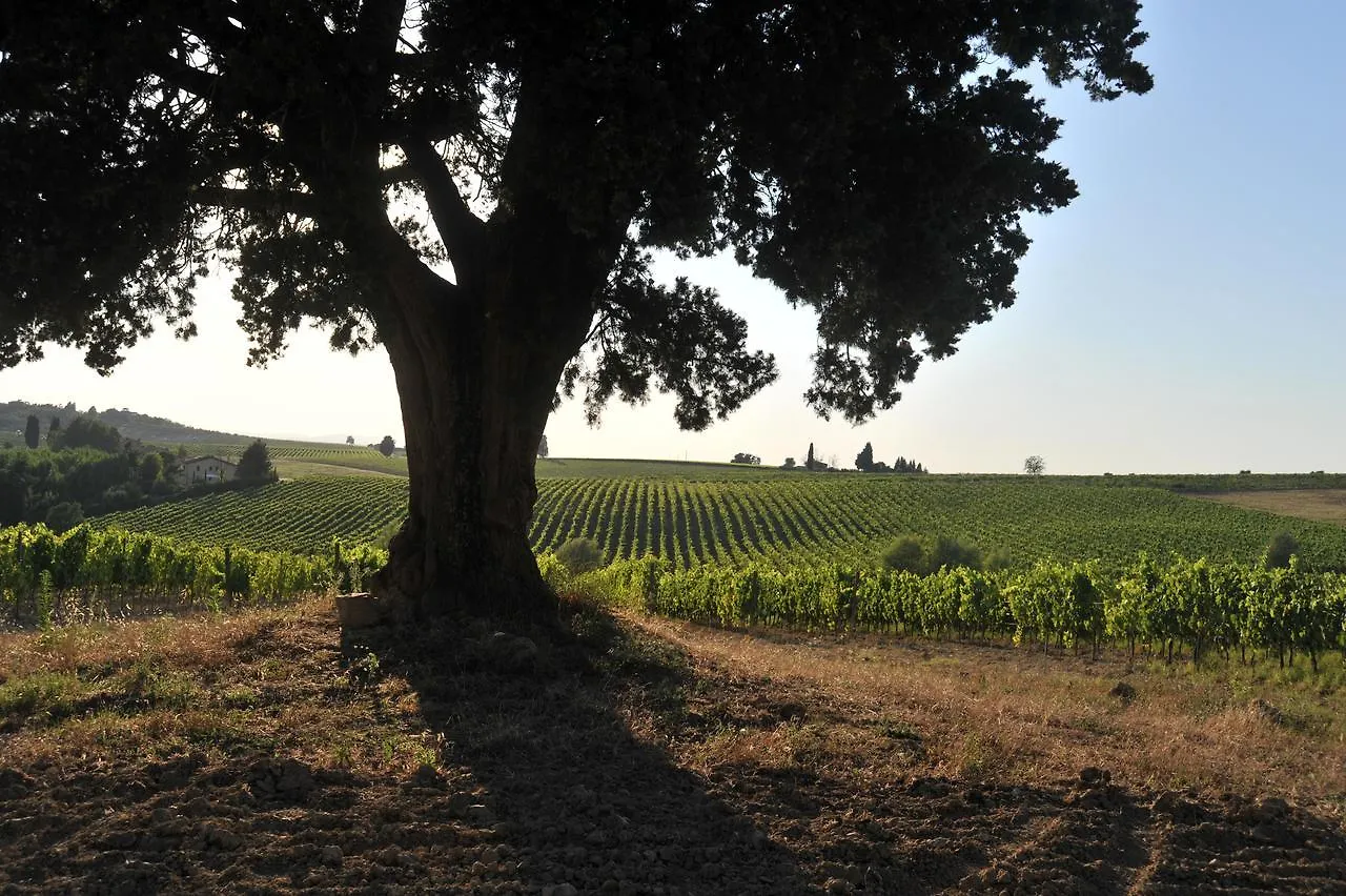 Fattoria Lornano Winery Villa Monteriggioni Italië