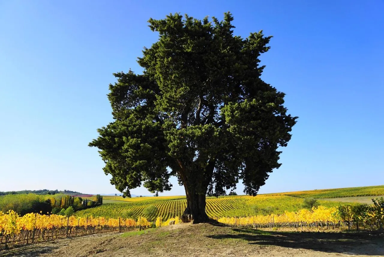 Fattoria Lornano Winery Villa Monteriggioni 0*,  Italy